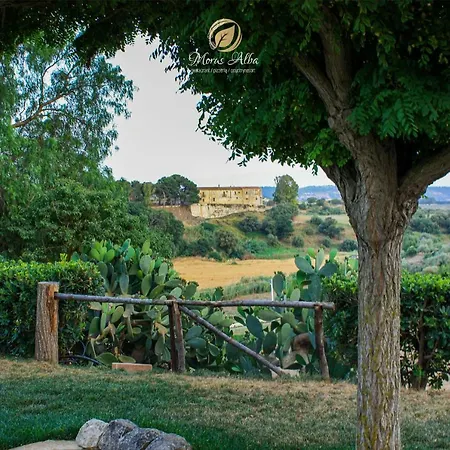 Morus Alba Resort
