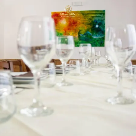 Morus Alba Resort